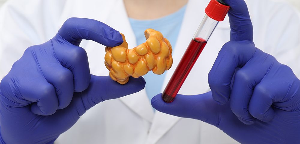 Endocrinologista mostrando modelo de glândula tireoide e amostra de sangue em tubo de ensaio.