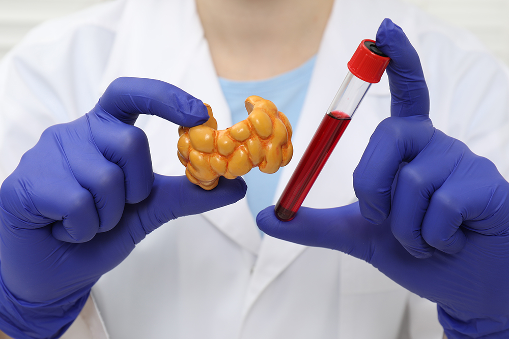 Endocrinologista mostrando modelo de glândula tireoide e amostra de sangue em tubo de ensaio.